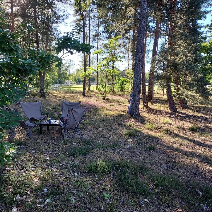 Camping Onlycamp Les Pins Nancay Exterior photo